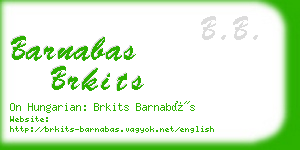 barnabas brkits business card